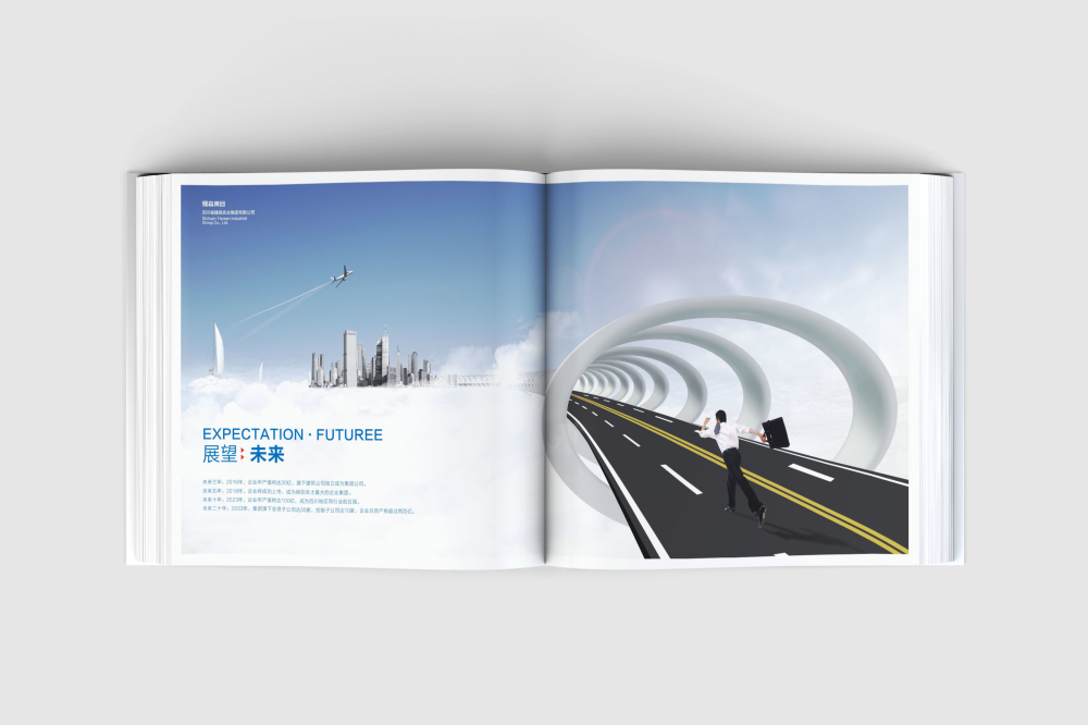灵丘县画册设计